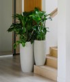  Donica z włókna ceramicznego , Ecolite, 88.059.100, kolor szary (naturalny beton) - 3