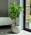  Donica z włókna ceramicznego , Ecolite, 88.063.47, kolor szary (naturalny beton) - 4