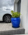  Donica z ceramiki szkliwionej , Ogrodowe szkliwione, 75.441.62, kolor kobaltowy - 5