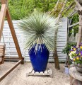  Donica z ceramiki szkliwionej , Ogrodowe szkliwione, 75.441.79, kolor kobaltowy - 2