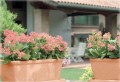  Donica z ceramiki nieszkliwionej , Tuscan, 87.601.52, kolor pomarańczowy (terakota) - 3
