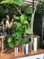  Donica z ceramiki szkliwionej , Moon, 31.099.30, kolor złoty (lustrzany) - 3