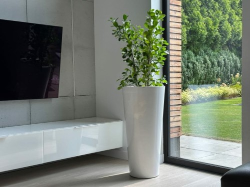  Donica z włókna szklanego , Fiberglass, 95.025.62, kolor biały