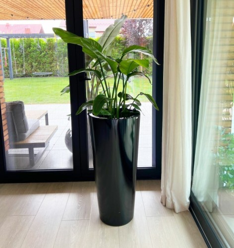  Donica z włókna szklanego , Fiberglass, 95.026.62, kolor czarny