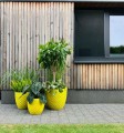  Donica z ceramiki szkliwionej , Ogrodowe szkliwione, 28.053.24, kolor żółty - 2