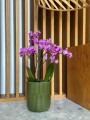  Osłonka doniczkowa z ceramiki szkliwionej  13cm-15h , Barcelona, 03.116.13, kolor zielony ciemny - 2