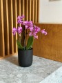  Osłonka doniczkowa z ceramiki szkliwionej  13cm-15h , Barcelona, 03.114.13, kolor czarny - 2
