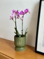  Osłonka doniczkowa z ceramiki szkliwionej  13cm-15h , Barcelona, 03.108.13, kolor zielony ciemny - 2