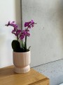  Osłonka doniczkowa z ceramiki szkliwionej  13cm-15h , Barcelona, 03.107.13, kolor pudrowy róż - 2