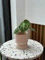  Osłonka doniczkowa z ceramiki szkliwionej  13cm-15h , Barcelona, 03.107.13, kolor pudrowy róż - 4