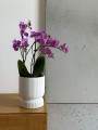  Osłonka doniczkowa z ceramiki szkliwionej  13cm-15h , Barcelona, 03.105.13, kolor biały - 2