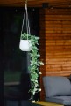  Osłonka doniczkowa z ceramiki szkliwionej  20cm-17h    , Barcelona, 31.166.20, kolor biały - 3