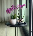  Osłonka doniczkowa z ceramiki szkliwionej  16cm-13h , Barcelona, 05.388.16, kolor biały - 2