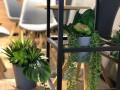 Osłonka doniczkowa z ceramiki nieszkliwionej , Basic, 71.038.14, kolor szary - 5