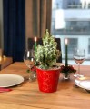 Osłonka doniczkowa z ceramiki nie szkliwionej, Christmas, 71.059.15, kolor czerwony - 2