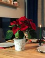 Osłonka doniczkowa z ceramiki nie szkliwionej, Christmas, 71.060.15, kolor biały - 2