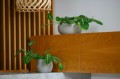  Osłonka doniczkowa z betonu dekoracyjnego 23cm-10h , Rustic, 05.387.23, kolor szary - 2