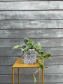  Osłonka doniczkowa z ceramiki 14cm-14h , Rustic, 35.059.14 b, kolor szary, biały - 4