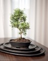  Donica ceramiczna z podstawkiem , Bonsai, 16.036.19, kolor czarny - 4