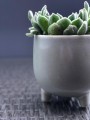 Osłonka doniczkowa z ceramiczna na nóżkach , Vintage, 05.242.14, kolor szary - 3