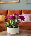 Osłonka doniczkowa z ceramiki szkliwionej  28cm-12h, Vintage, 07.135.28, kolor kremowy - 2