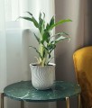 Osłonka doniczkowa z ceramiki szkliwionej  14cm-14h, Vintage, 10.105.14, kolor kremowy - 2
