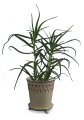   Belice - doniczka ceramiczna  , Domowe ogrody, 919.004.17, kolor kremowy - 3