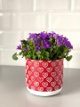  Donica z ceramiki nieszkliwionej 14cm-13h , Rustic, 05.190.14, kolor czerwony - 2