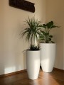  Donica z włókna szklanego , Fiber Kaszmir Premium, 95.057.100 WP, kolor kaszmir - 5