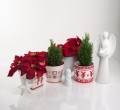  Donica ceramiczna 14cm-12h , Christmas, 39.064.14, kolor biały, czerwony - 2