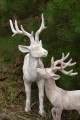   Rangifer   vertical dos   dekoracja  , Dekoracje, 920.049.51, kolor jasny szary z rudymi plamkami - 3