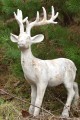   Rangifer  vertical tres    dekoracja  , Dekoracje, 920.055.55, kolor jasny szary z rudymi plamkami - 2