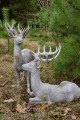  Rangifer   Capi  , Dekoracje, 940.029.57, kolor jasny szary z rudymi przebarwieniami - 5