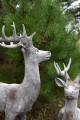   Rangifer   Loui     figurka dekoracyjna  , Dekoracje, 940.030.75, kolor jasny szary z rudymi przebarwieniami - 4