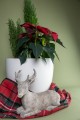  Donica z włókna szklanego , Fiber Kaszmir Premium, 95.061.46, kolor kaszmir - 8