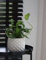  Donica ceramiczna 16cm-13h , Piano, 39.052.16, kolor biały - 3
