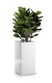  Donica z włókna szklanego , Fiberglass, 95.003.80 WP, kolor biały - 4
