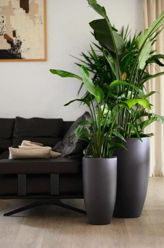  Donica z włókna szklanego , Fiberglass, 95.017. 62, kolor grafitowy