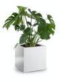  Donica z włókna szklanego , Fiberglass, 95.005.60, kolor biały - 8