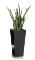  Donica z włókna szklanego , Fiberglass, 95.008.80, kolor czarny - 5