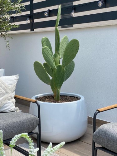  Donica z włókna szklanego , Fiberglass, 95.013.34, kolor biały