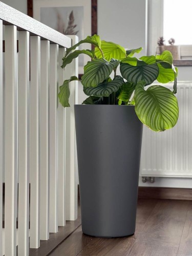  Donica z włókna szklanego , Fiberglass, 95.027.62, kolor grafitowy