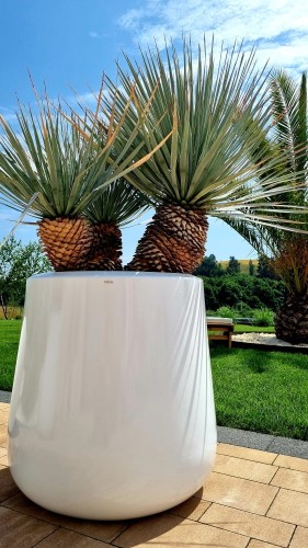  Donica z włókna szklanego , Fiberglass, 95.034.34, kolor biały