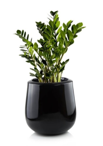  Donica z włókna szklanego , Fiberglass, 95.035.34, kolor czarny