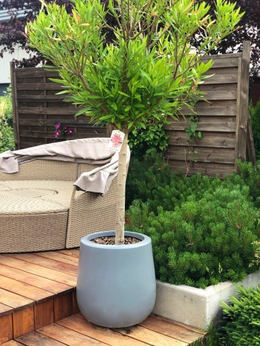  Donica z włókna szklanego , Fiberglass, 95.036.34, kolor grafitowy