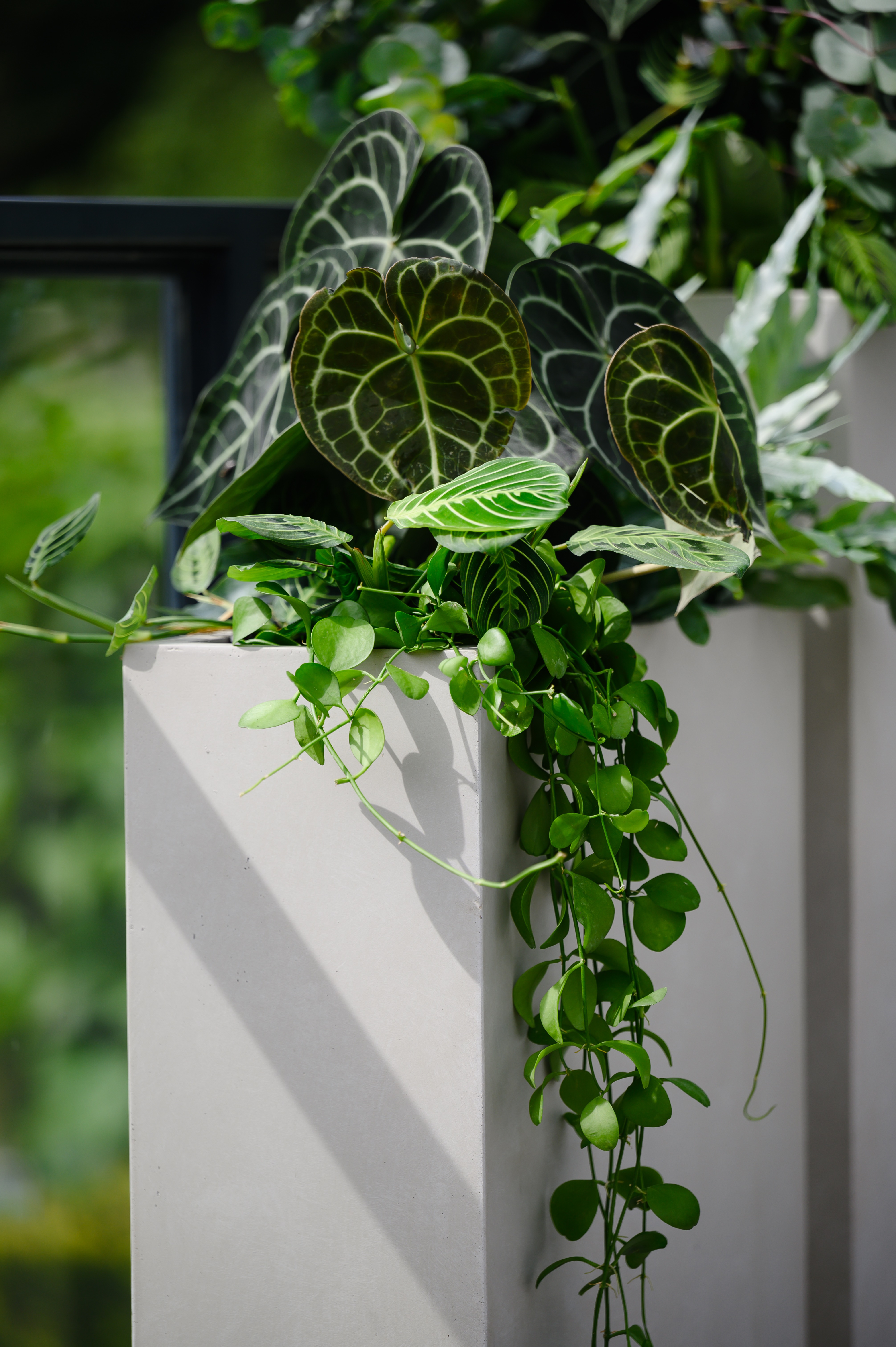 Balkon, czyli sposób na ogród w mieście